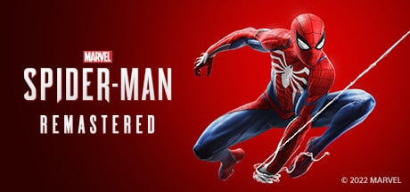 Spaider Man Banner